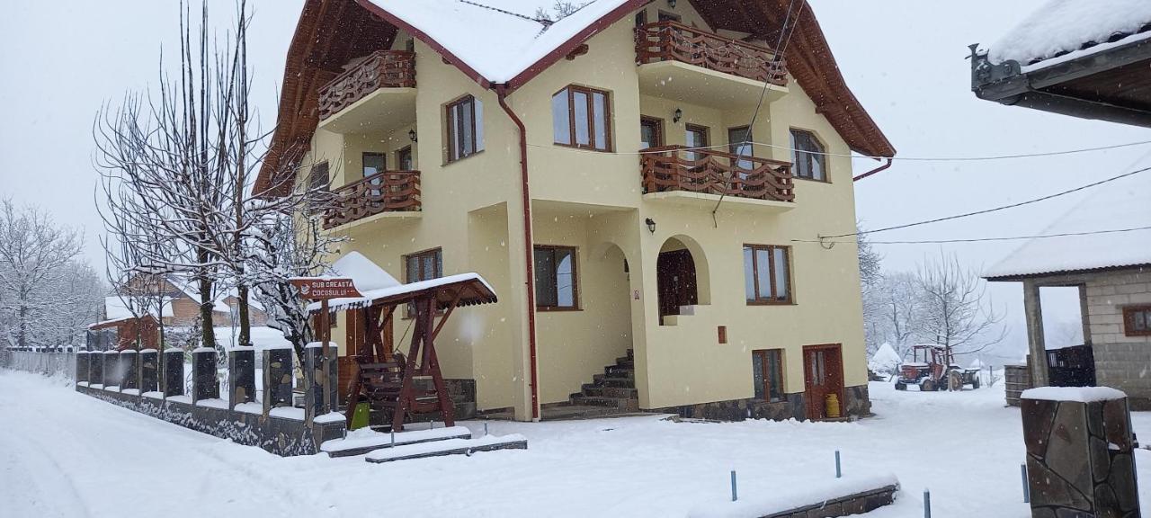 Hotel Sub Creasta Cocosului Breb Exterior foto