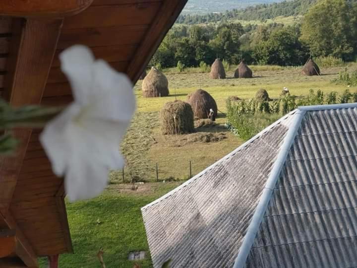 Hotel Sub Creasta Cocosului Breb Exterior foto